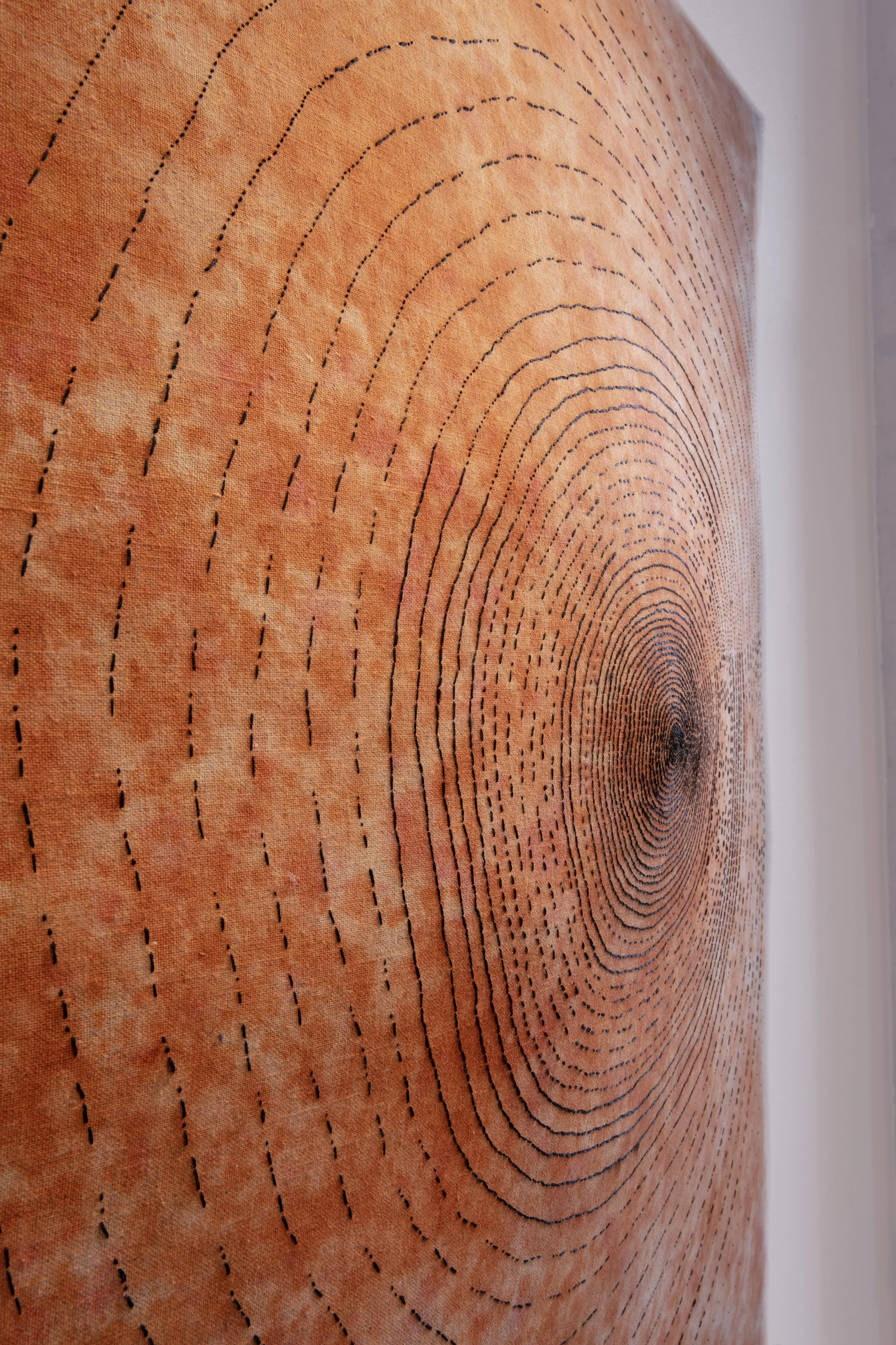 SM NO NO NO SIDE VIEW_30A9550 copy.jpg