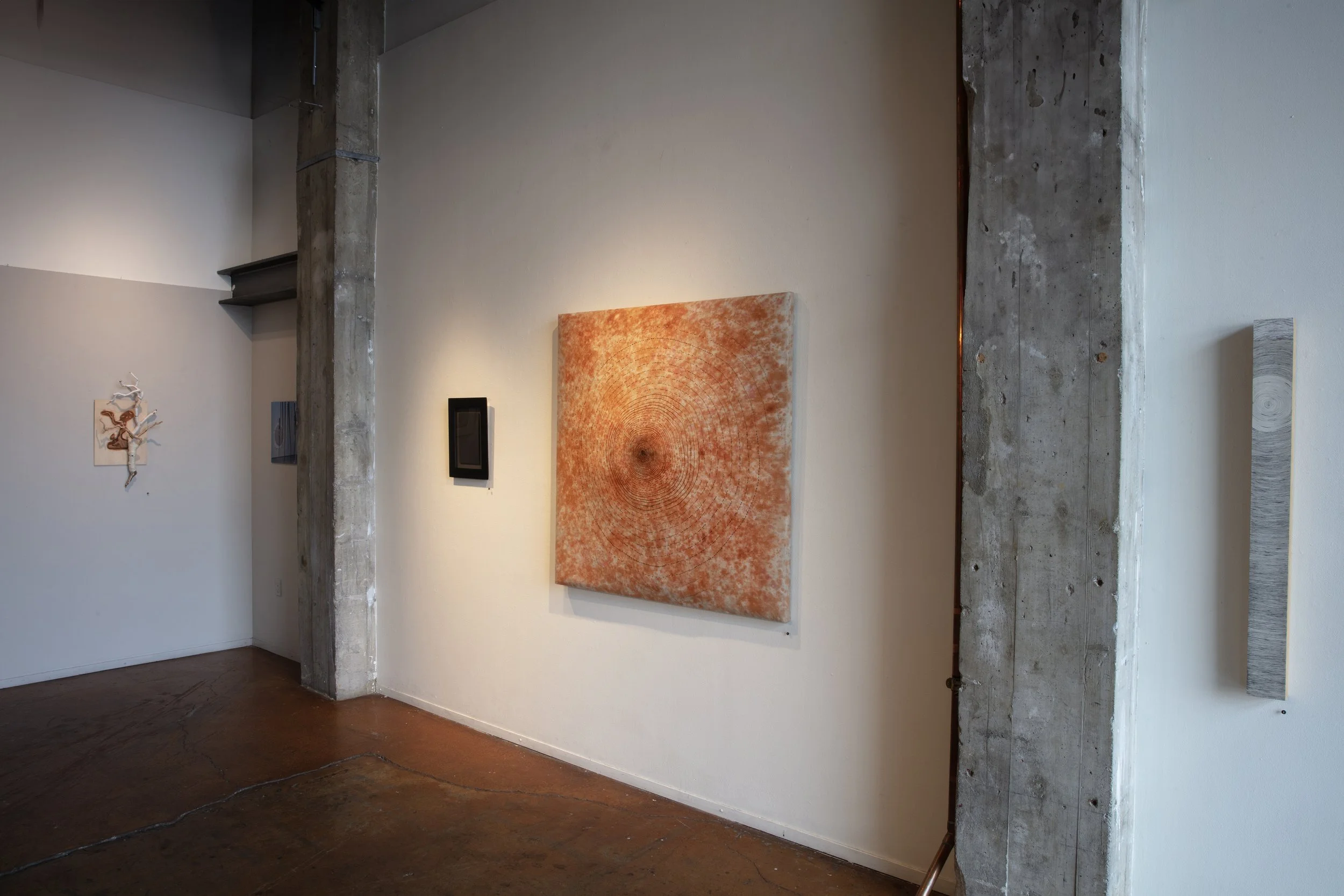 sm INSTALL VIEW_30A9524 copy.jpg