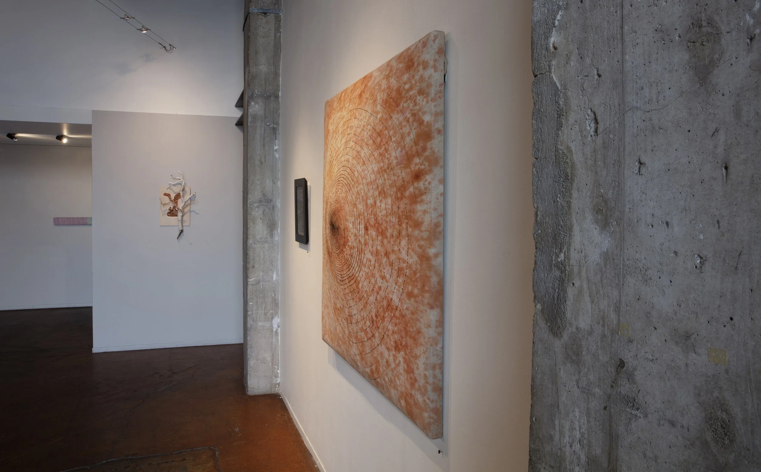 sm INSTALLATION VIEW_30A9530 copy.jpg