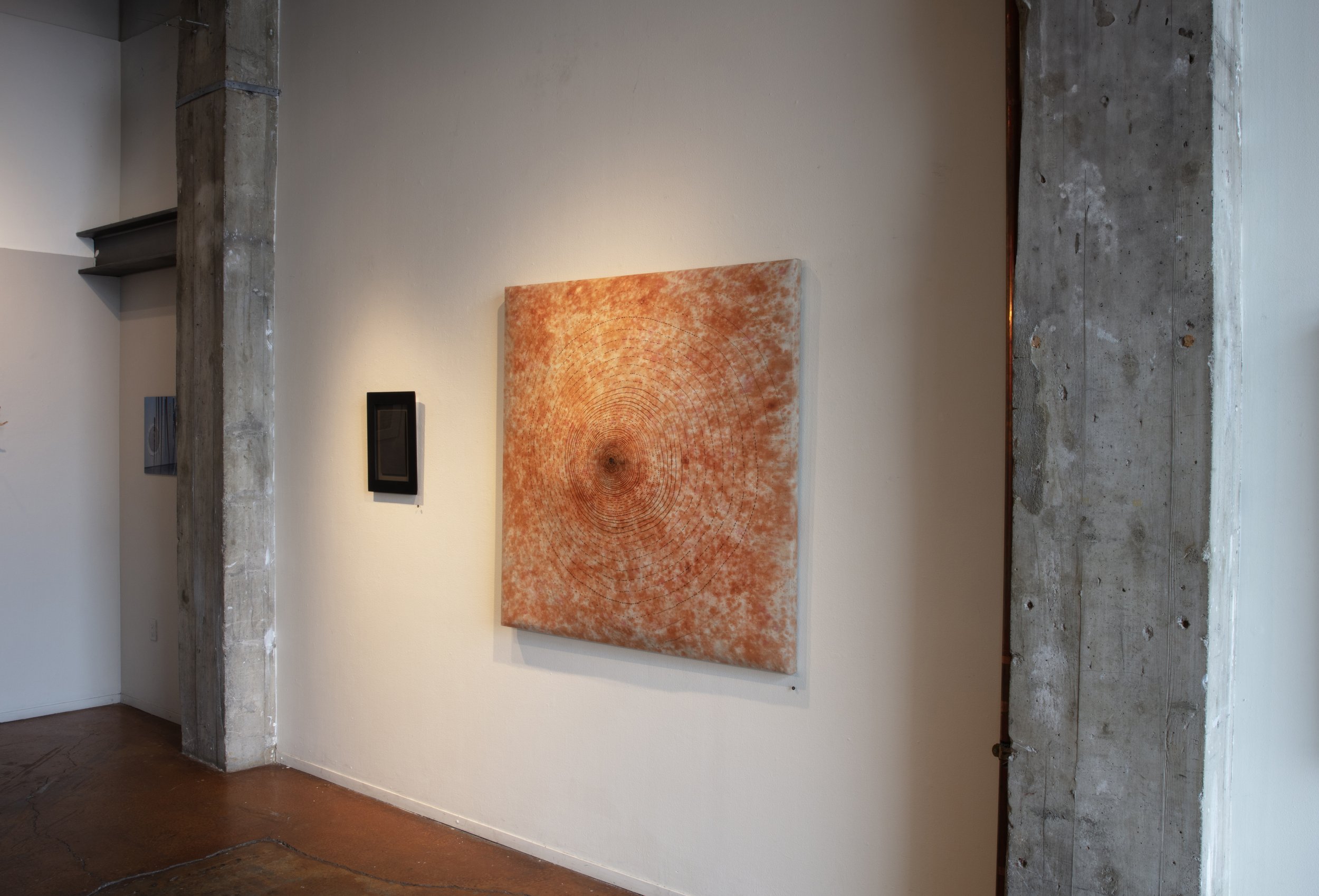 CROP INSTALL VIEW_30A9524 copy.jpg