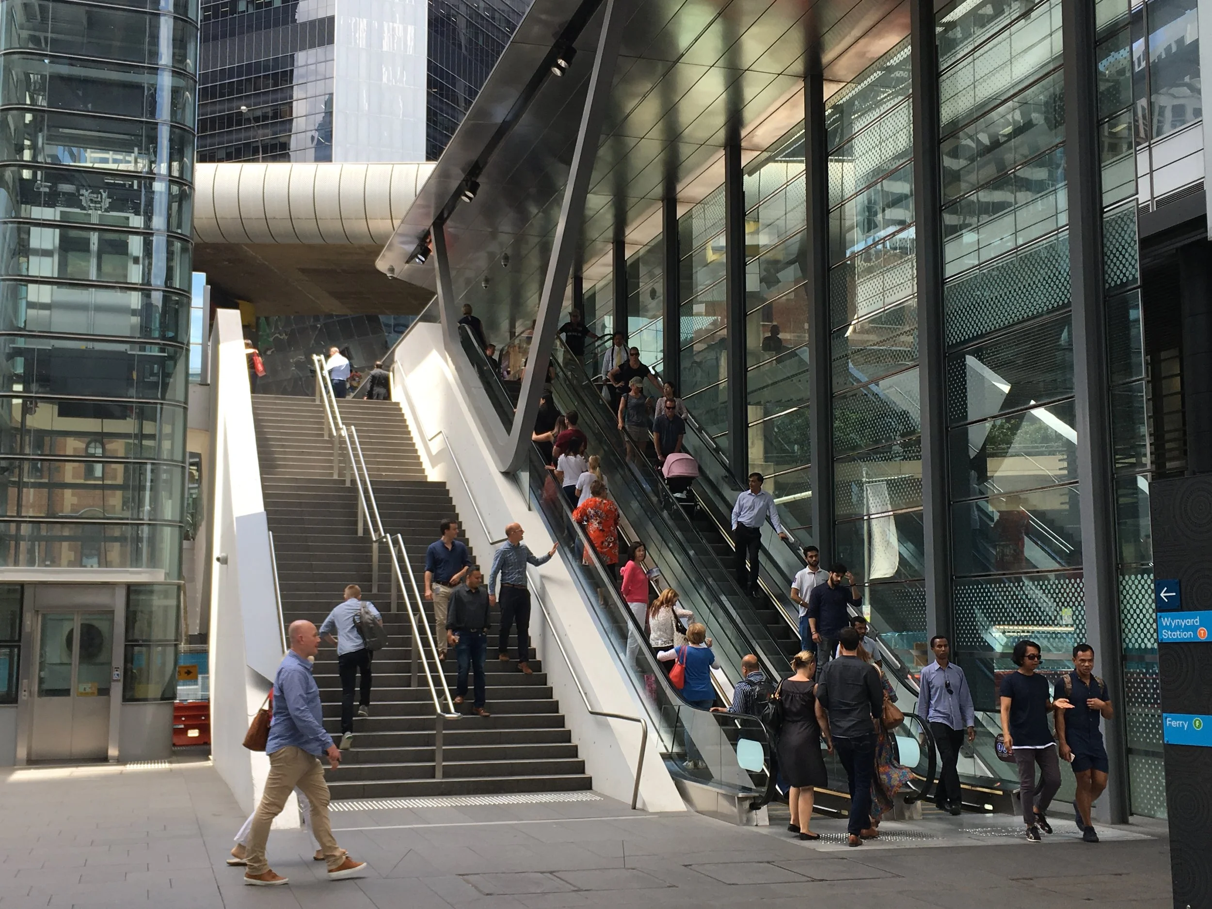 Have you ever wondered if you get enough movement in your day? 