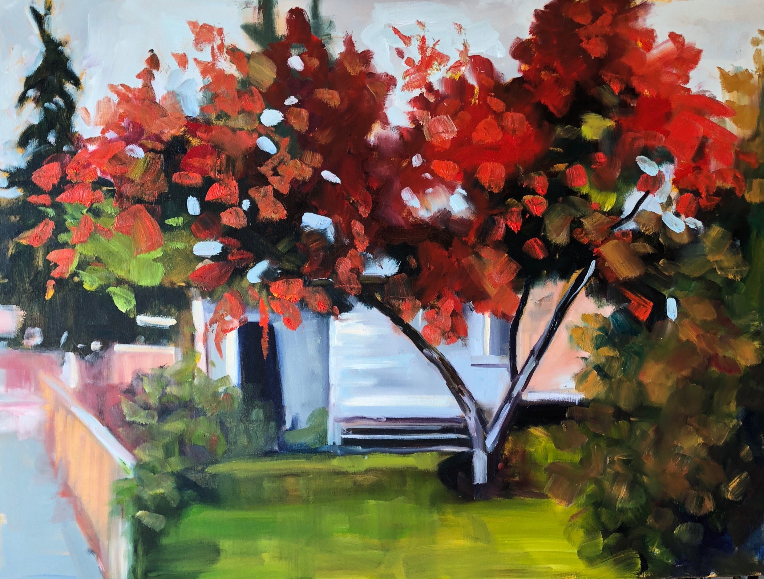 Red Tree On The Ridge