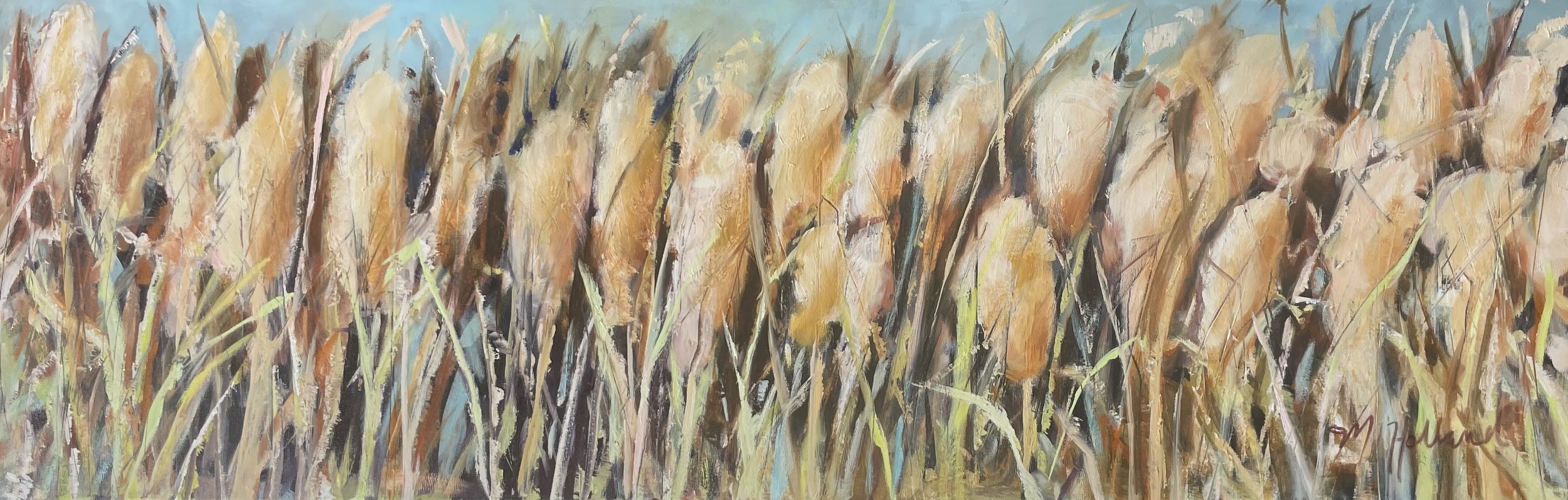 cat tails SOLD