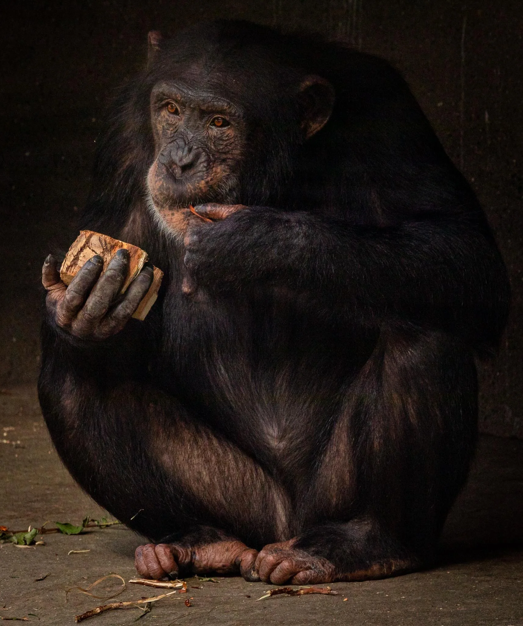 "The Olives taste good"