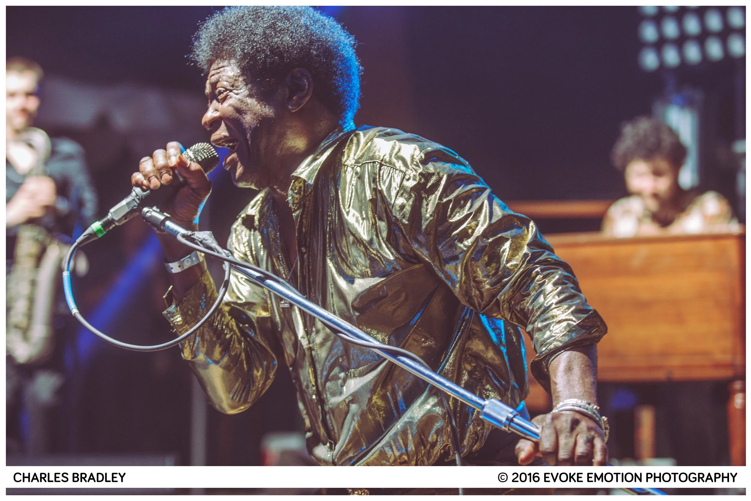 CHARLESBRADLEY copy.jpg