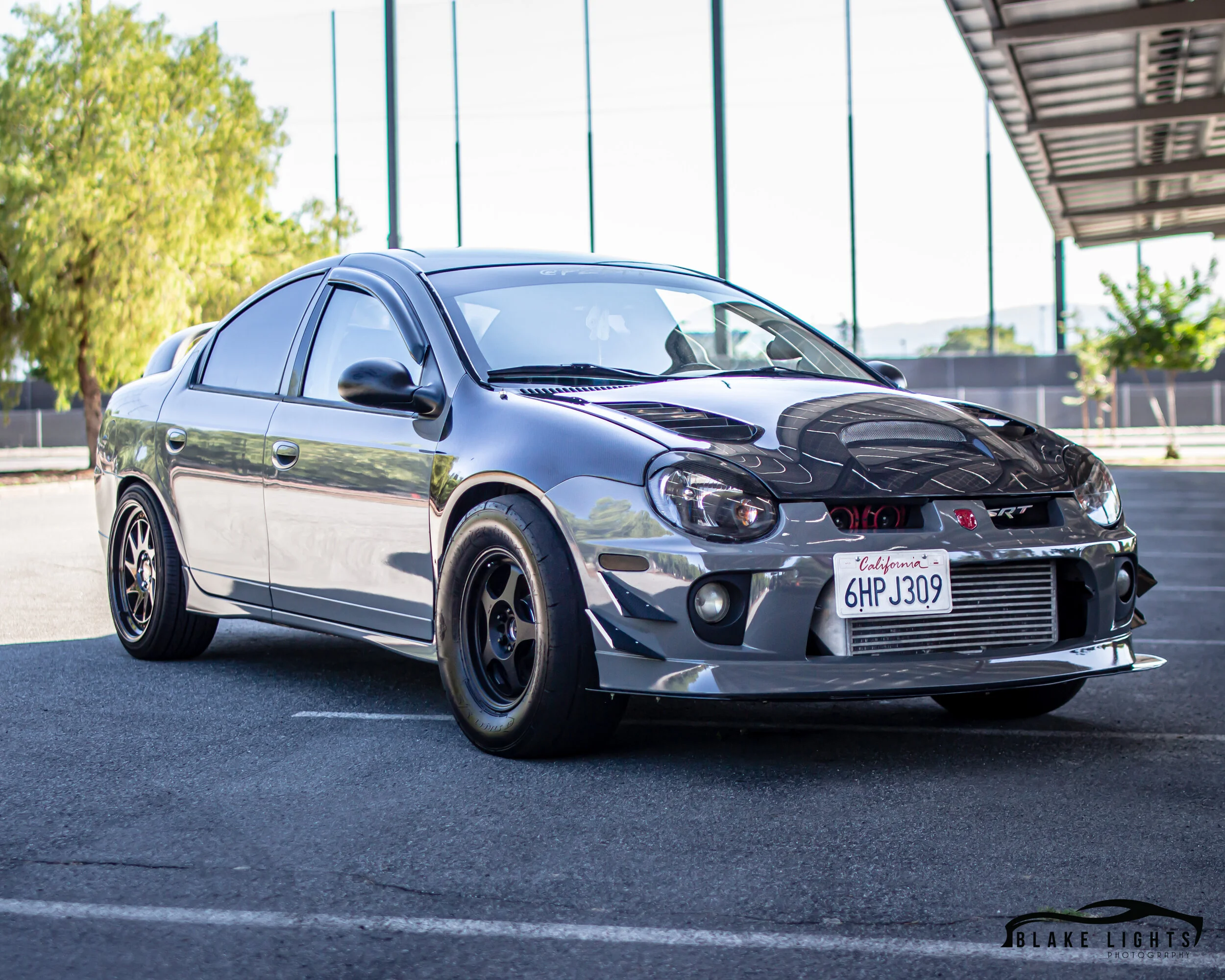 fzrtt_SRT4 (1).jpg