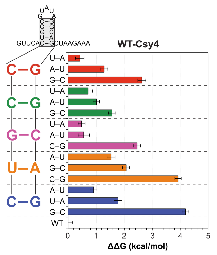 17_Sternberg(Mechanism...).png