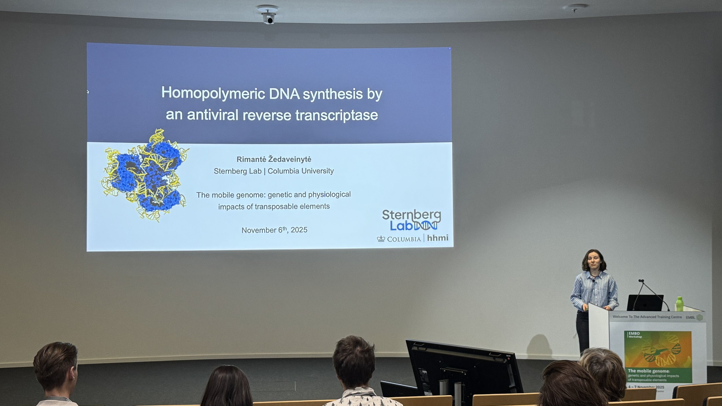 11-11-2025 Rimantė's Preserntation-2.JPG