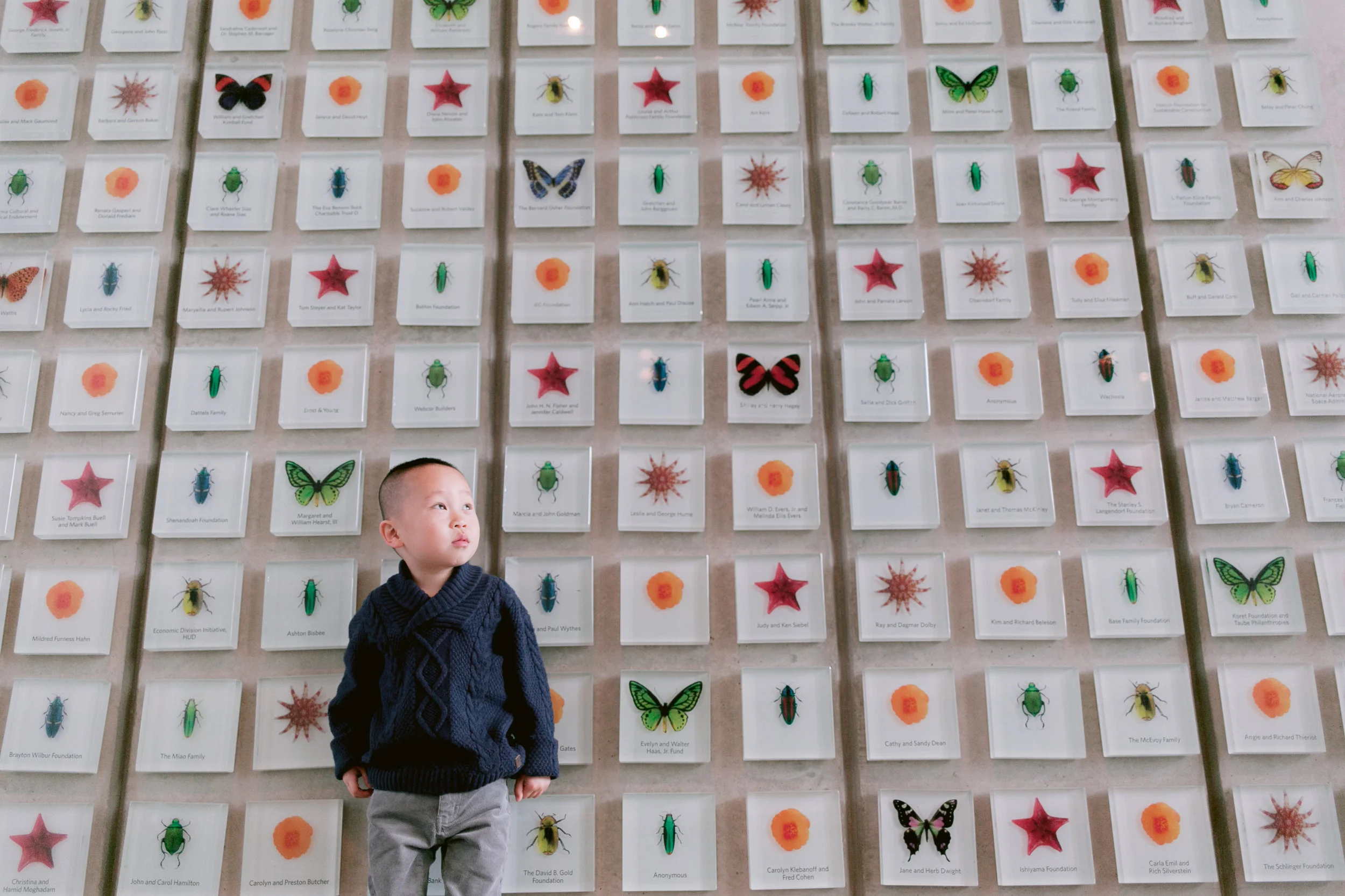 San Francisco Children and Family Portrait | Devin