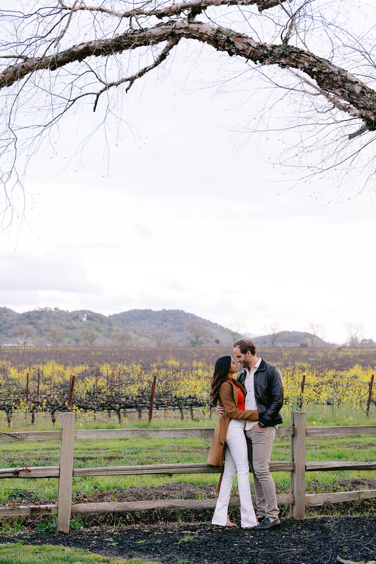 Napa_Valley_Engagement_Session_008.jpg