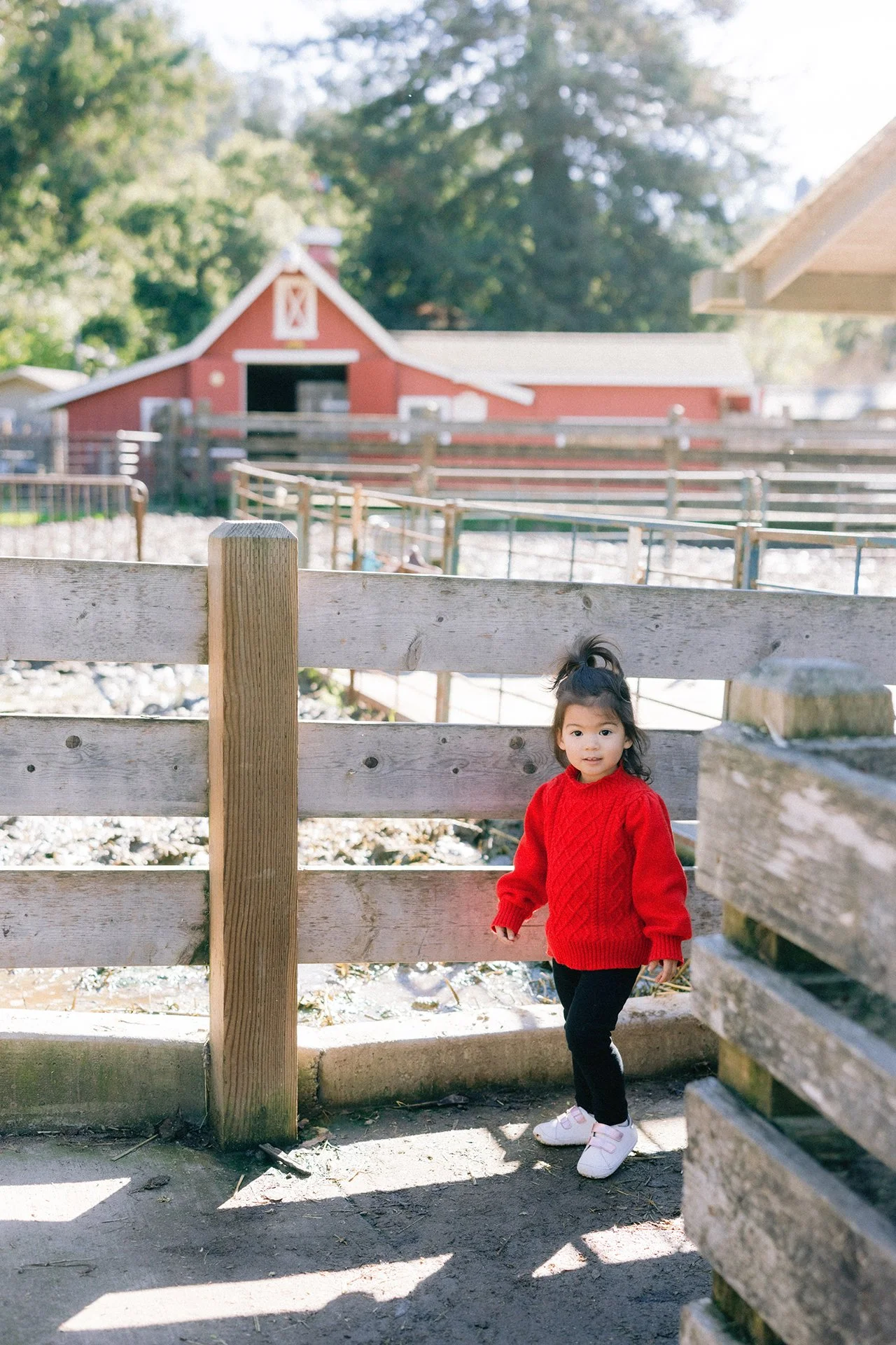 Berkeley_Children_Family_Portraits_012.jpg