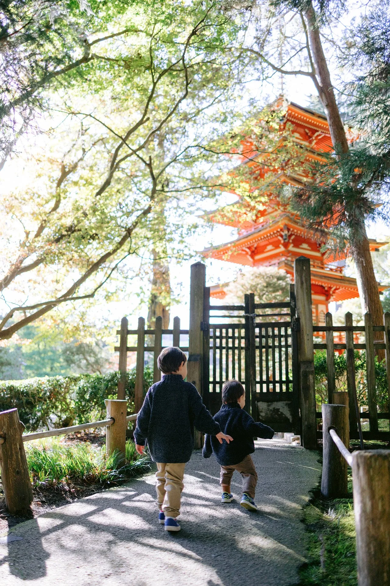 San Francisco Children and Family Portraits | Atom and Cosmo