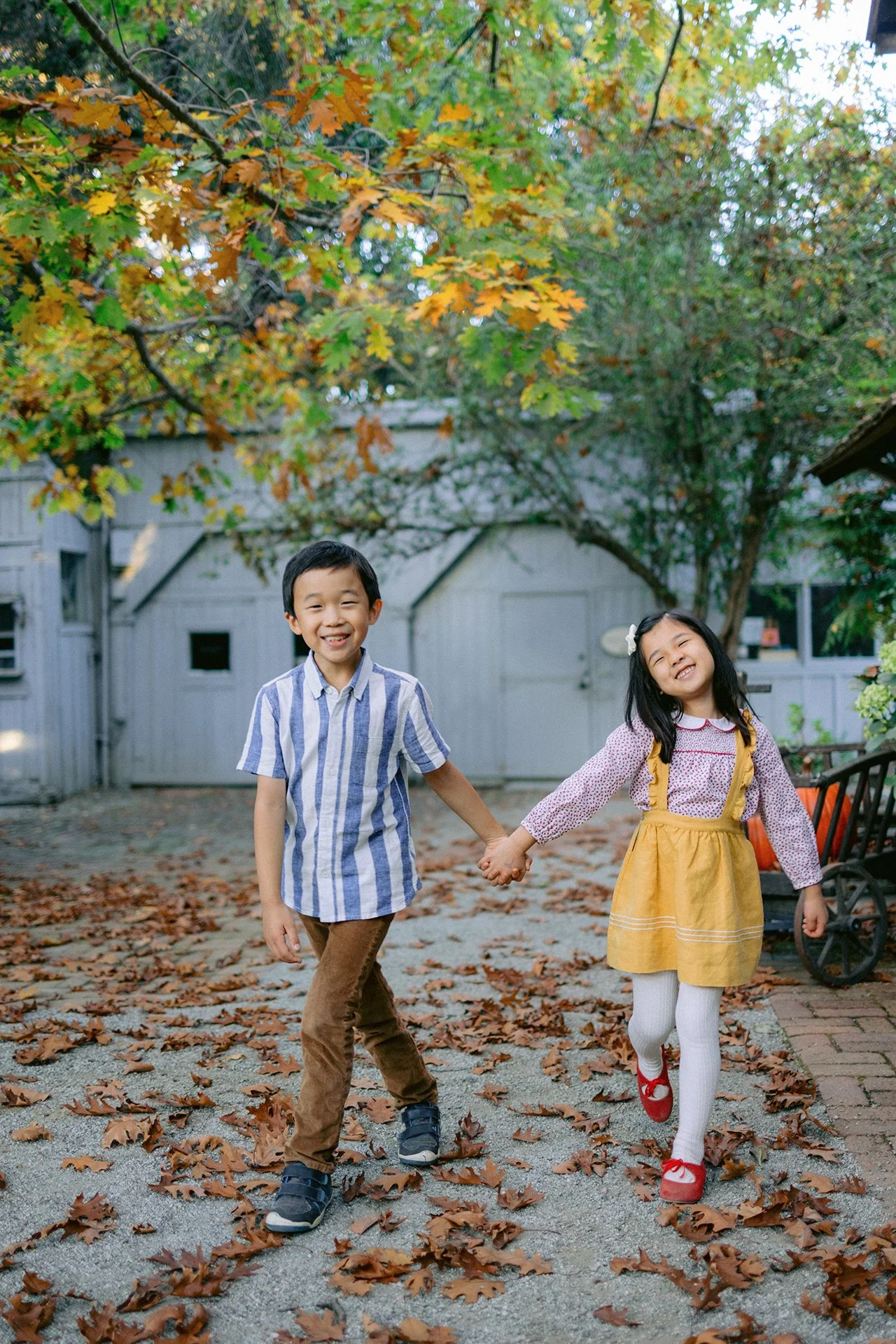 Menlo_Park_Children_Family_Portraits_011.jpg