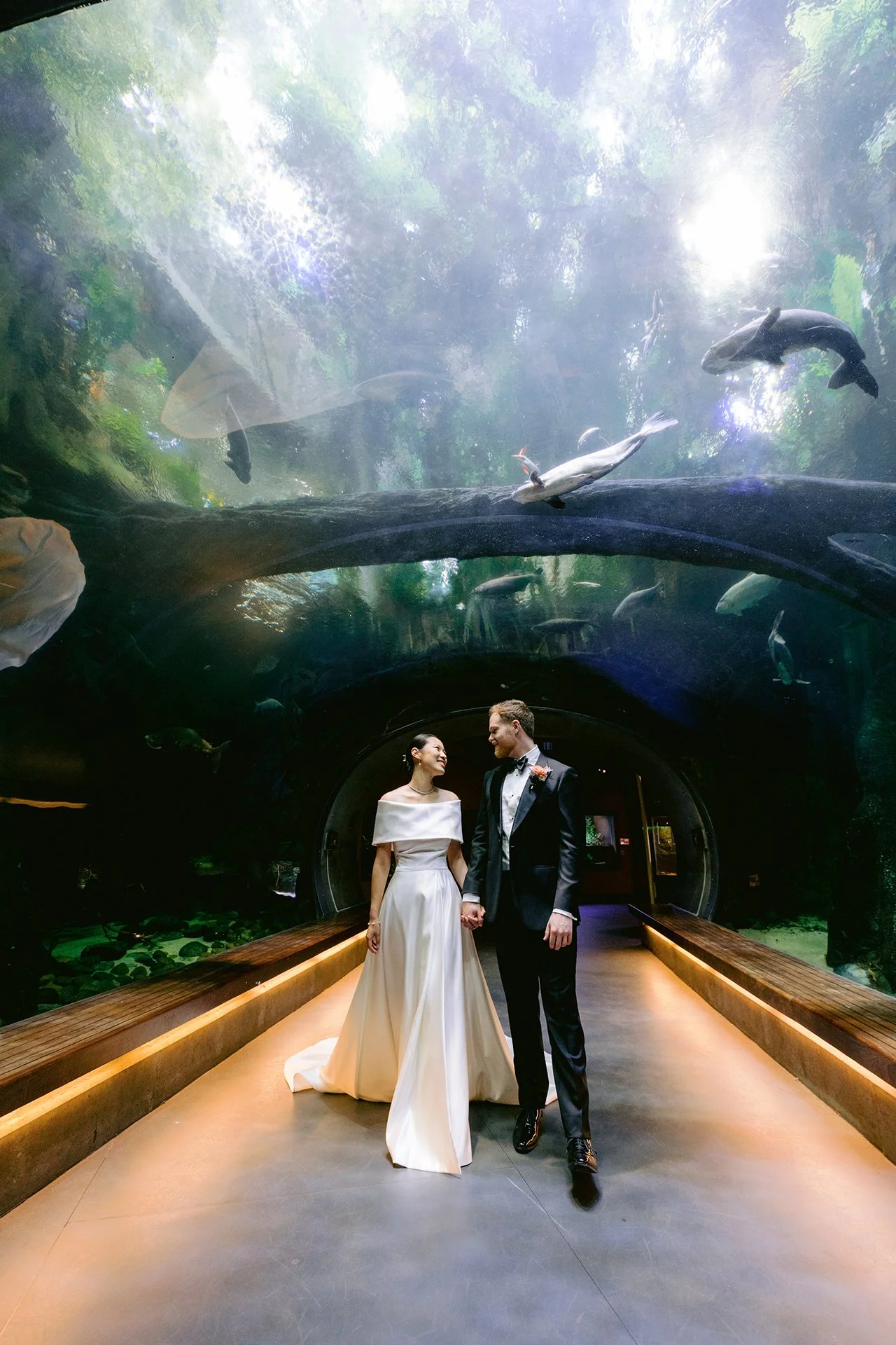 California_Academy_of_Sciences_Wedding_021.jpg