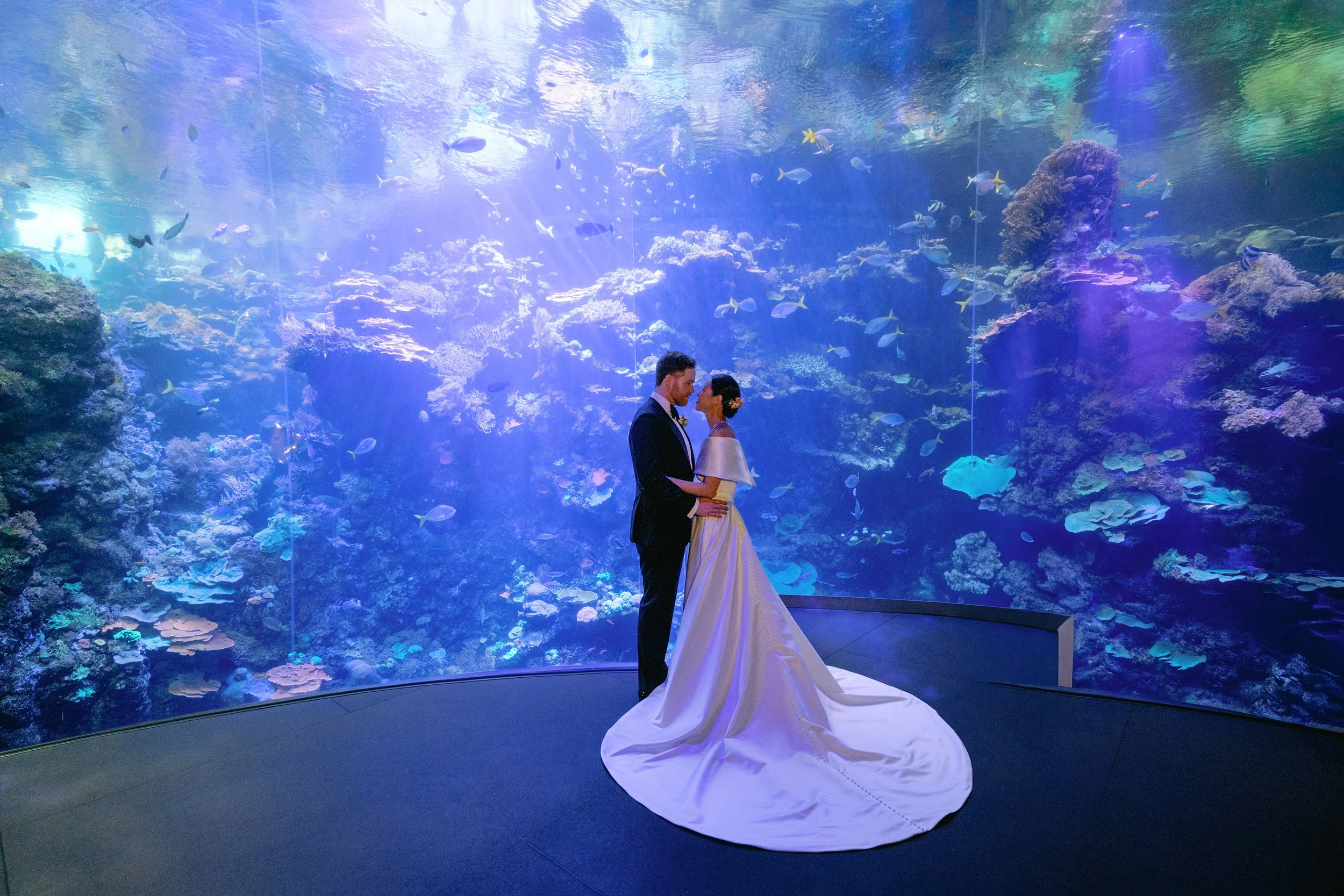 California_Academy_of_Sciences_Wedding_020.jpg