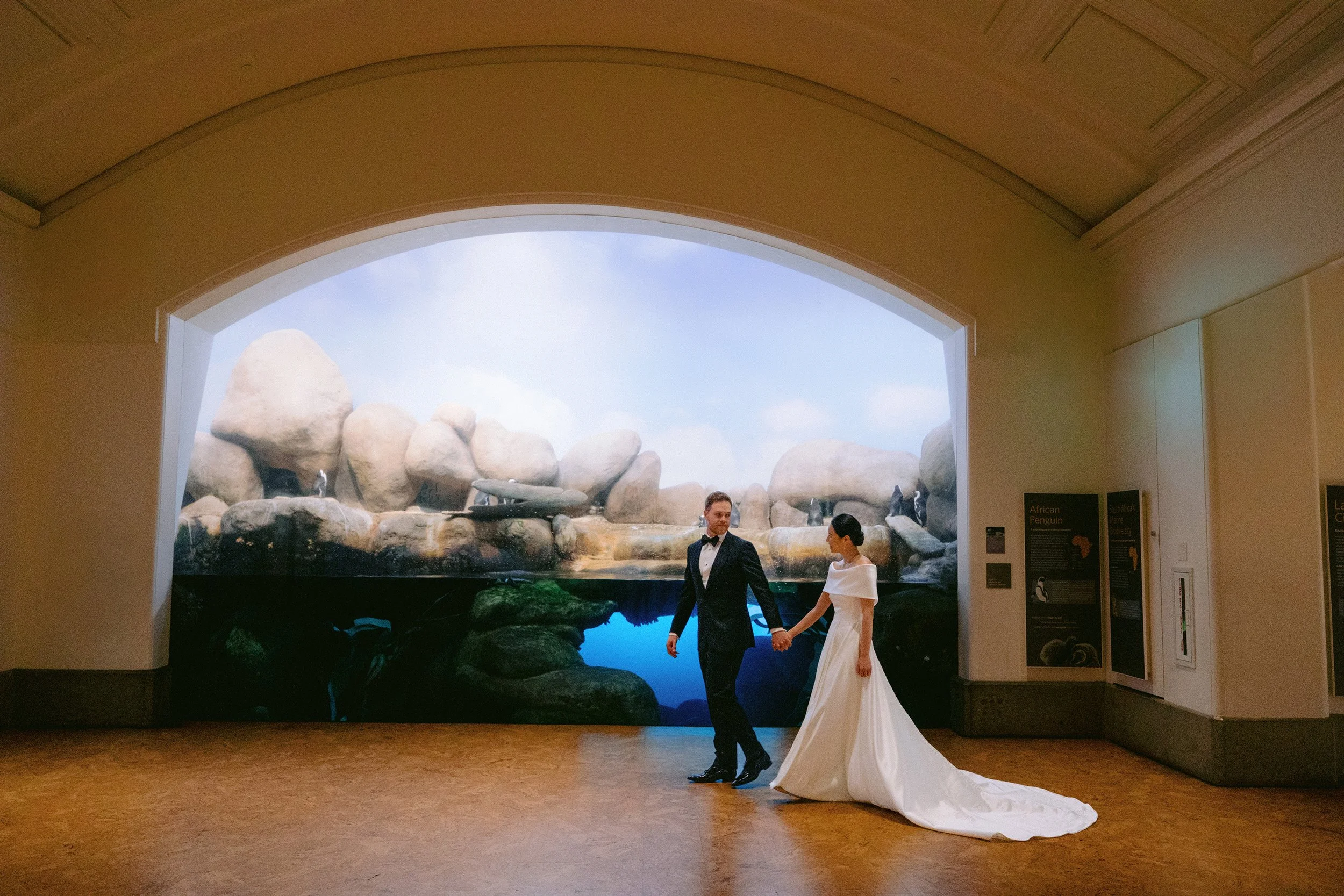 California Academy of Sciences Wedding | Christine and Luke
