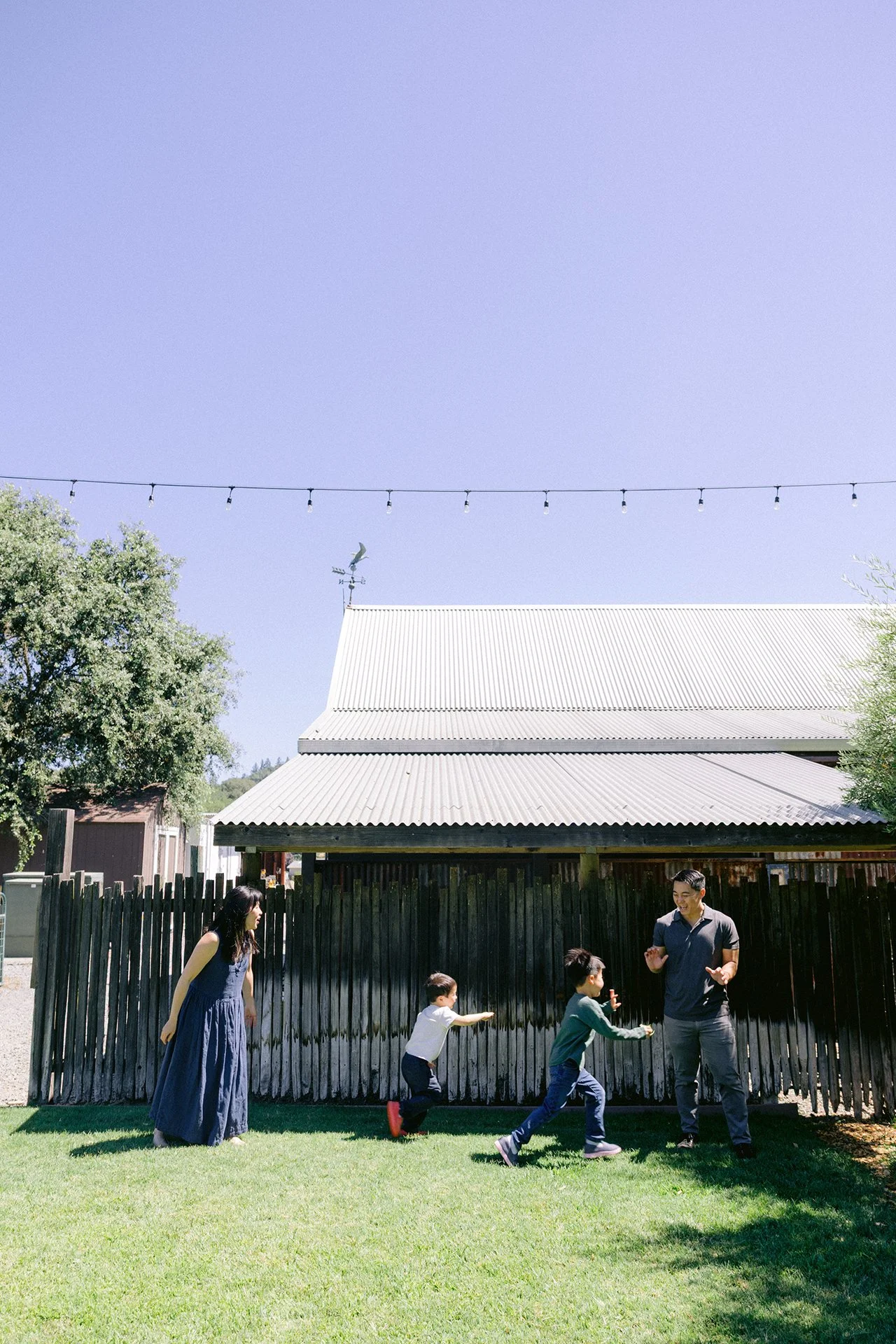 Healdsburg_Children_Family_Portraits_008.jpg