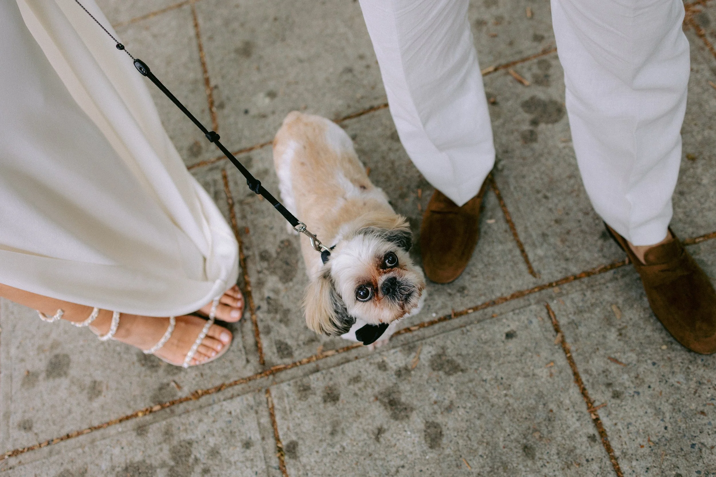 New_York_City_Hall_Wedding_009.jpg