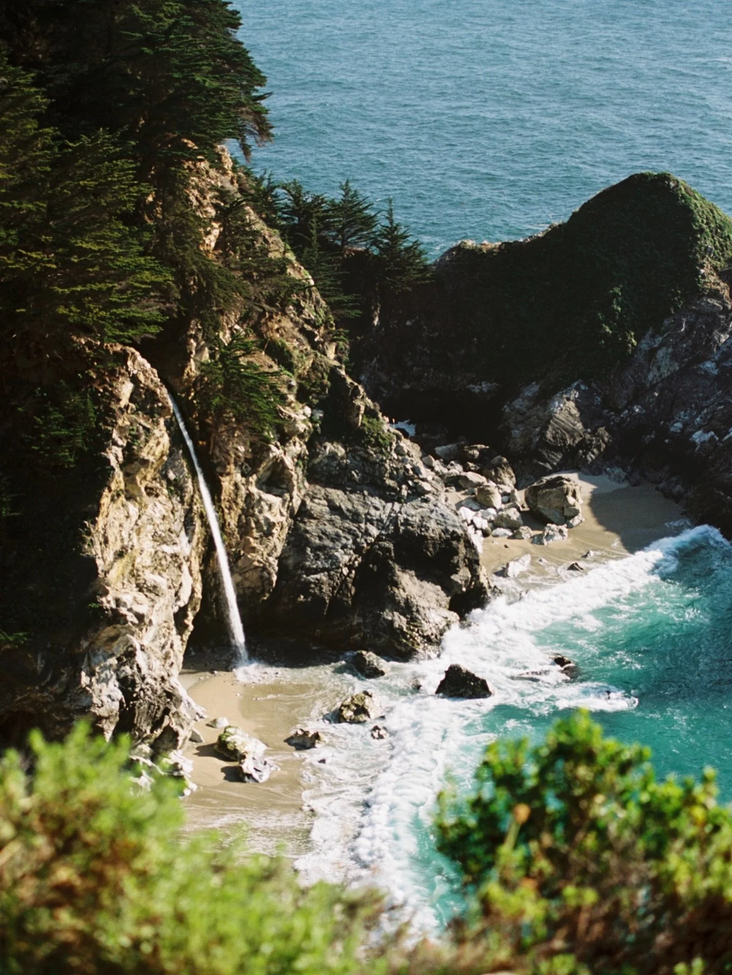 idyllic spring in Big Sur on 35mm film 🌼📸🌊

shooting film &amp; travelling is my true happy place💕

sharing moments, places, and adventures that I think are so incredible really brings me deep joy

there is so much beauty in the world.
so much po