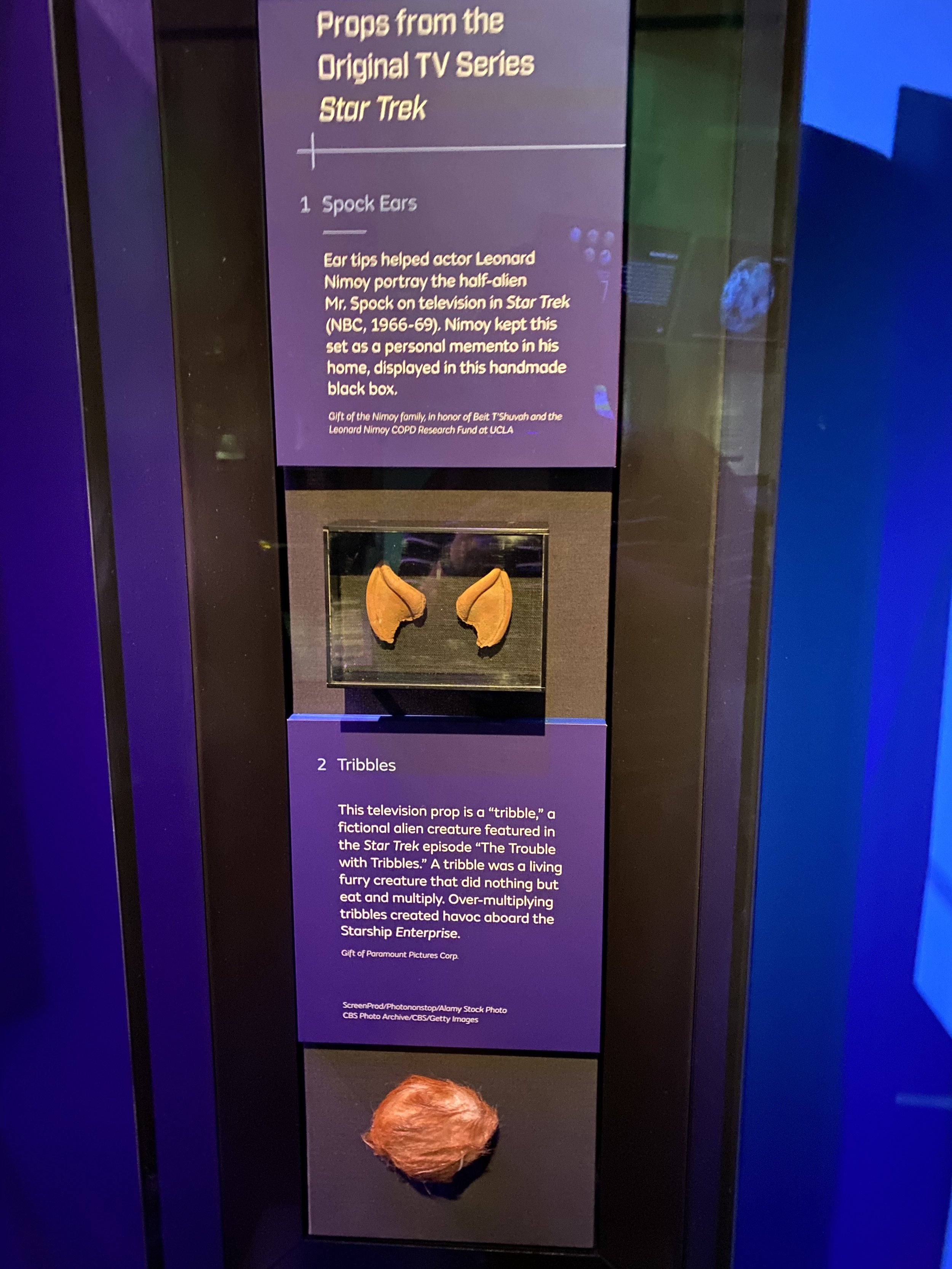IMG_4822.jpeg