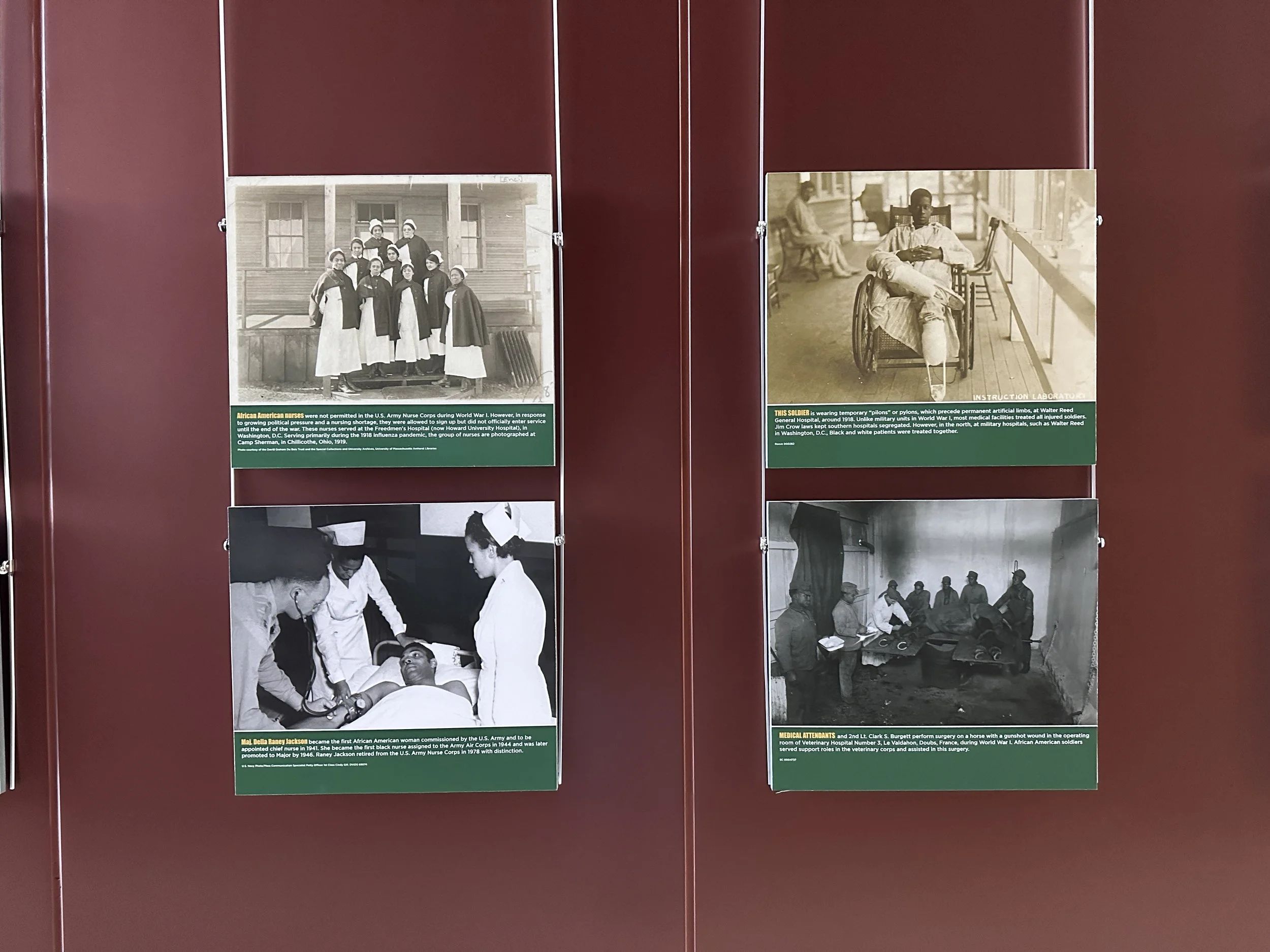 African Americans in Military Medicine