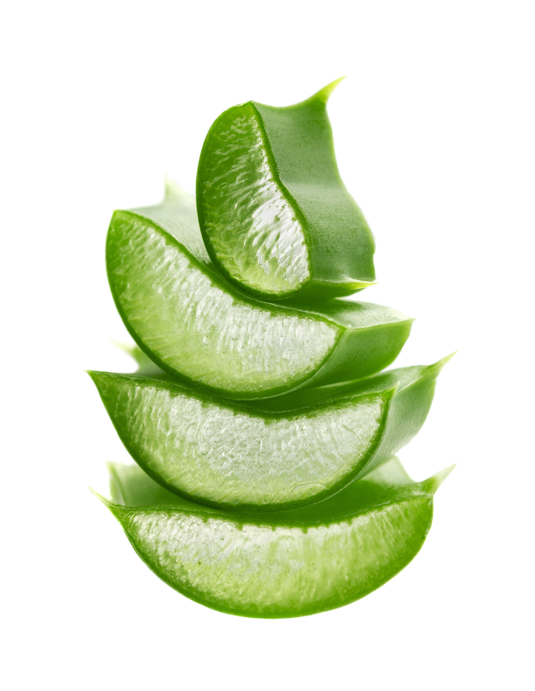 AloeVeraSlices.jpg