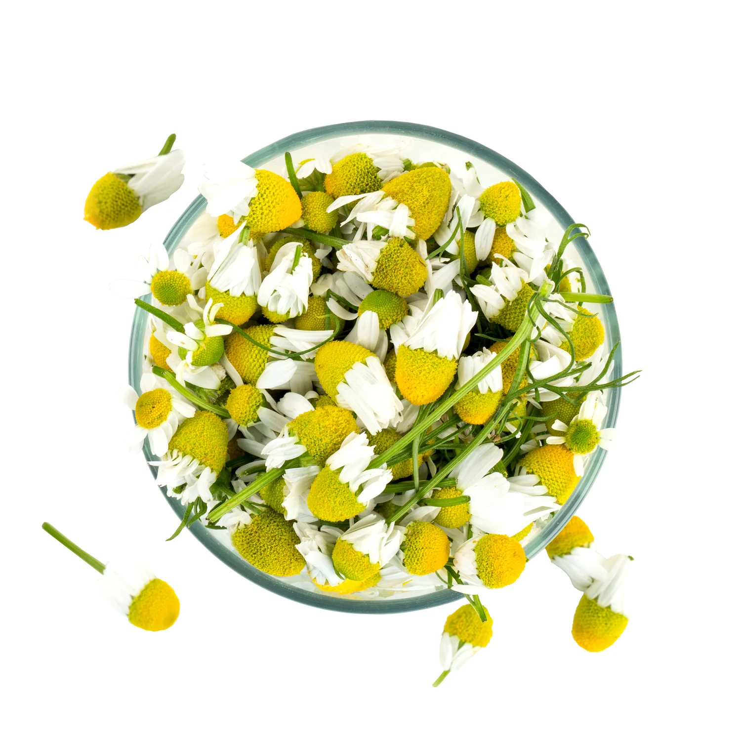 ingredient-chamomile.jpg
