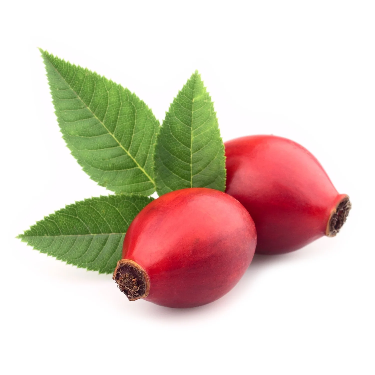 ingredient-rosehips.jpg