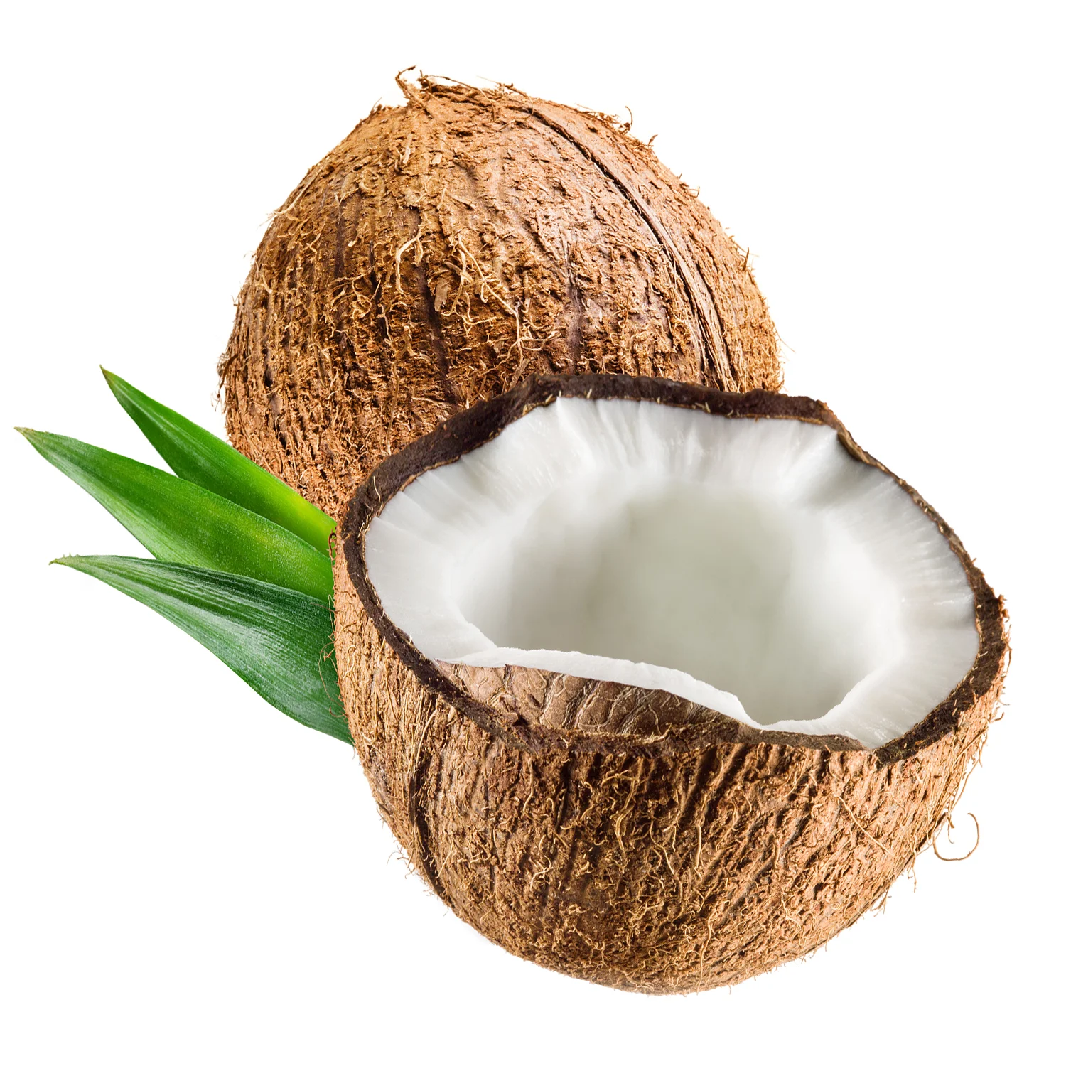 ingredient-coconut.jpg