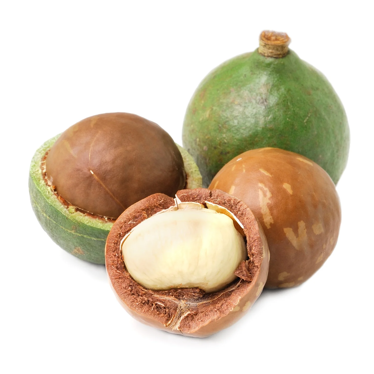 ingredient-macadamia.jpg