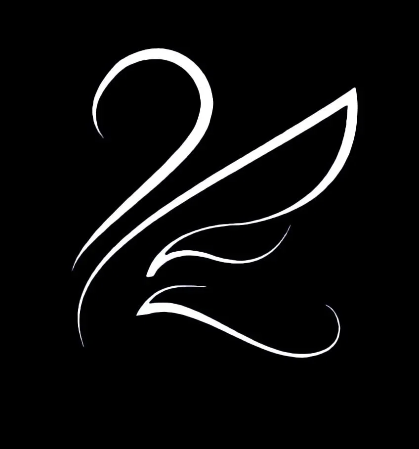 FPi-Floating Point images