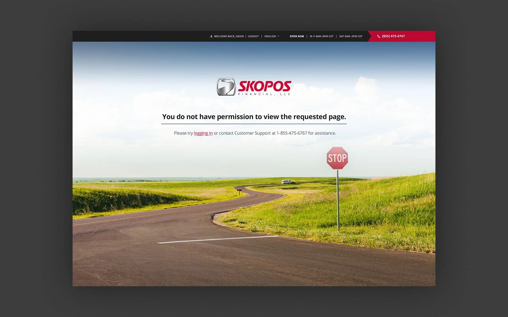 MySkopos 07.jpg