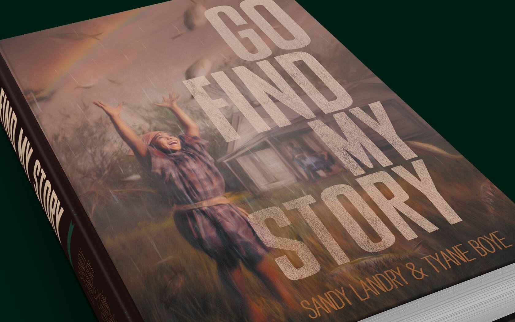 Go Find My Story Book.jpg