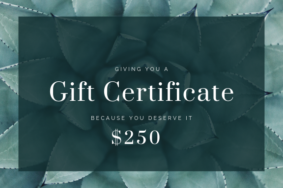 Grayscale Photo Photography Gift Certificate (2).png