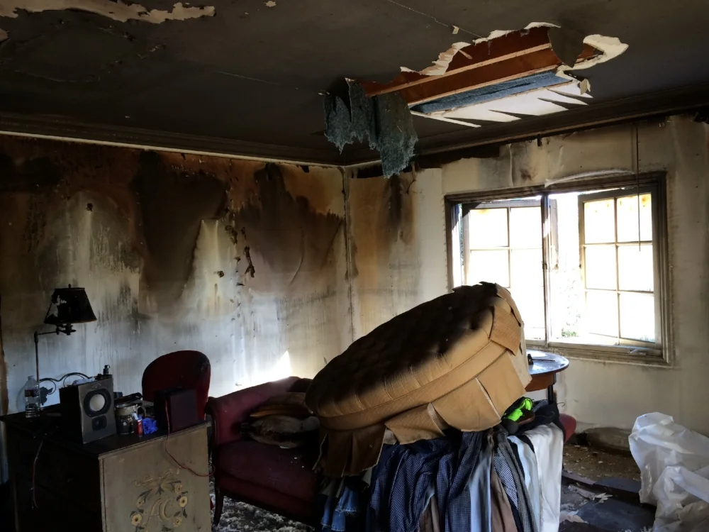 fire-damage-los-angeles2.jpg