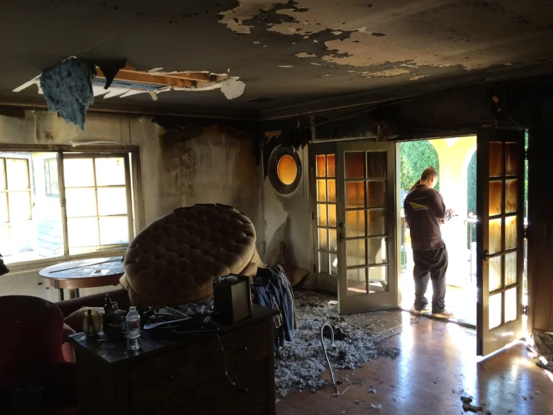 fire-damage-los-angeles5.jpg