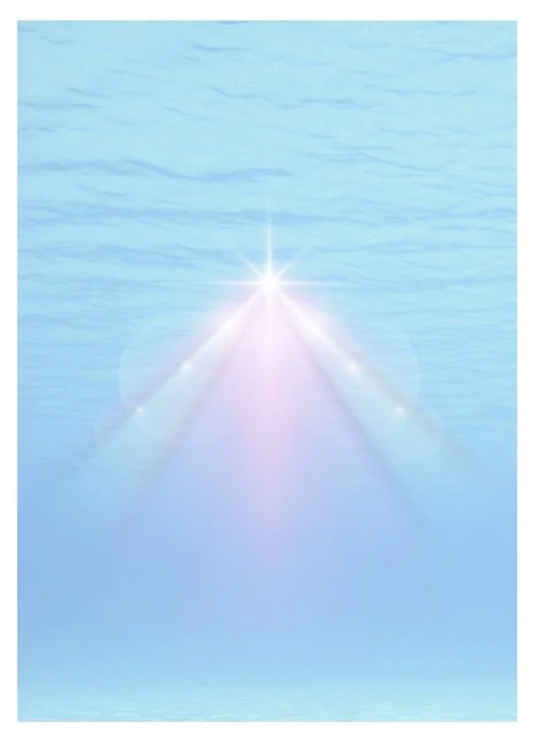 Empowered Oracle Card.jpg