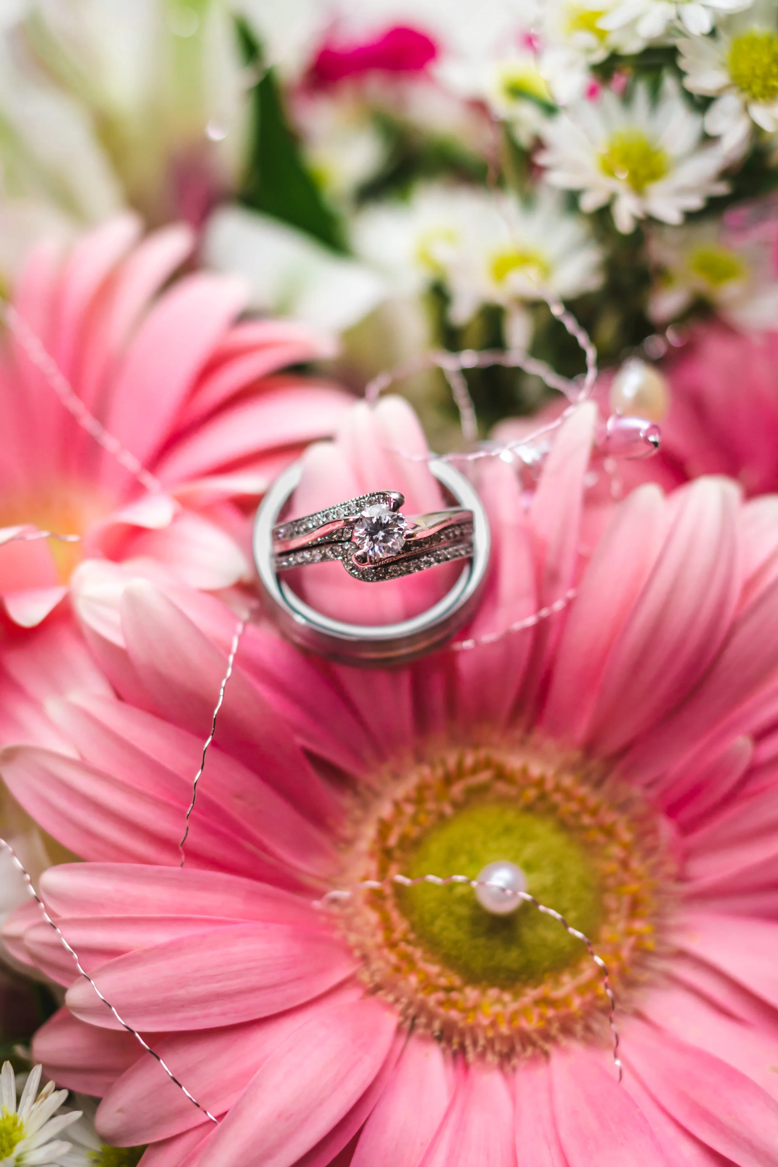 Jill and Jim-296.JPG