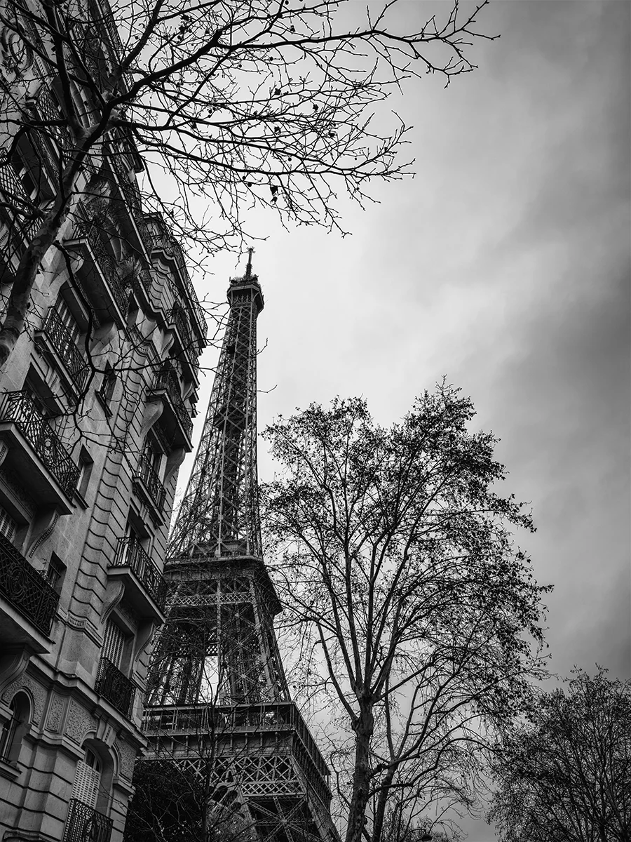 IMGP3595.jpg