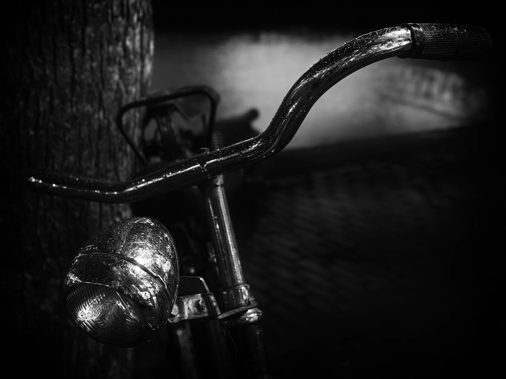 Untitled 1, Amsterdam, Netherlands, 2019.jpg