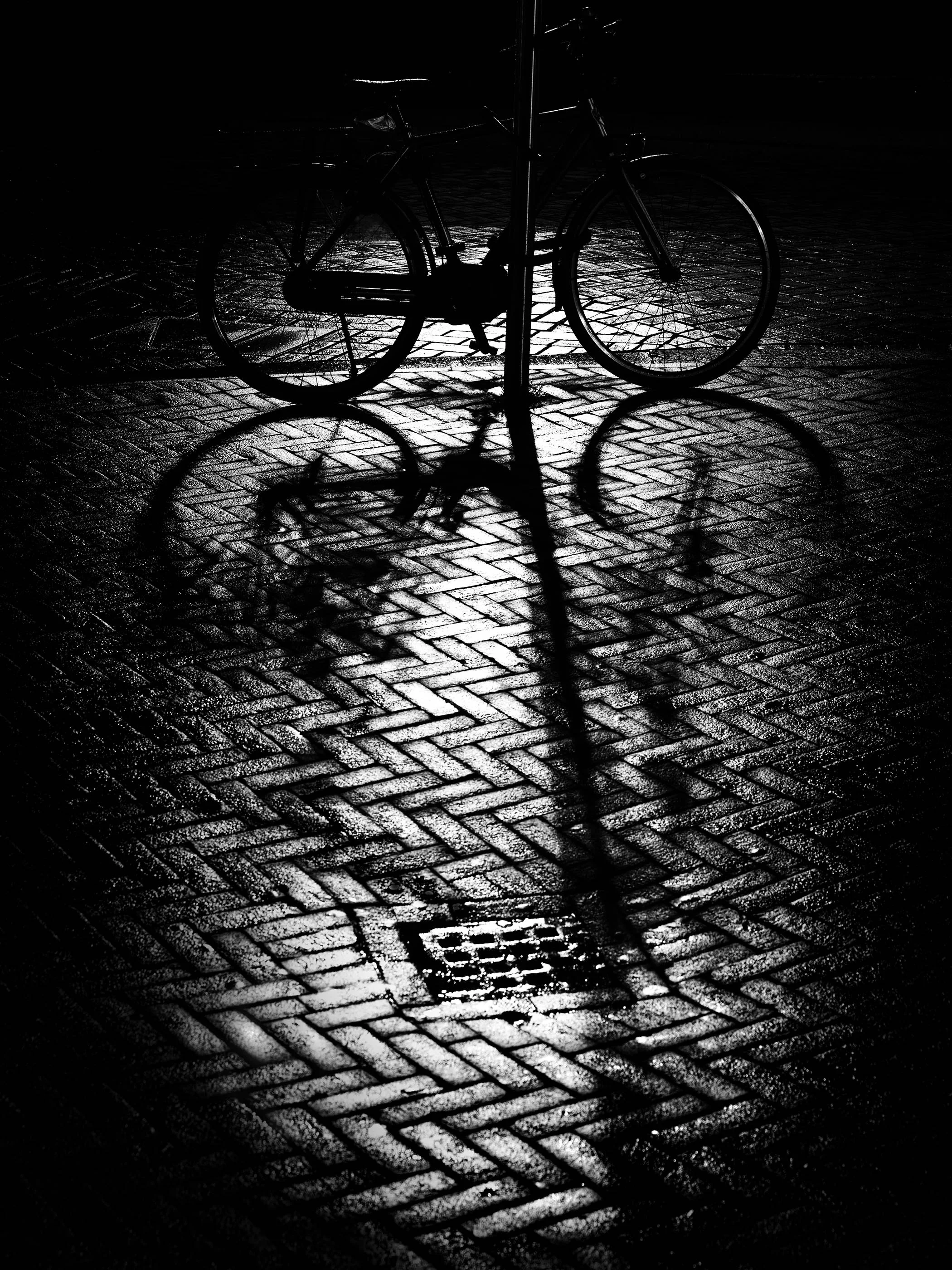 Untitled 2, Amsterdam, Netherlands, 2019.jpg