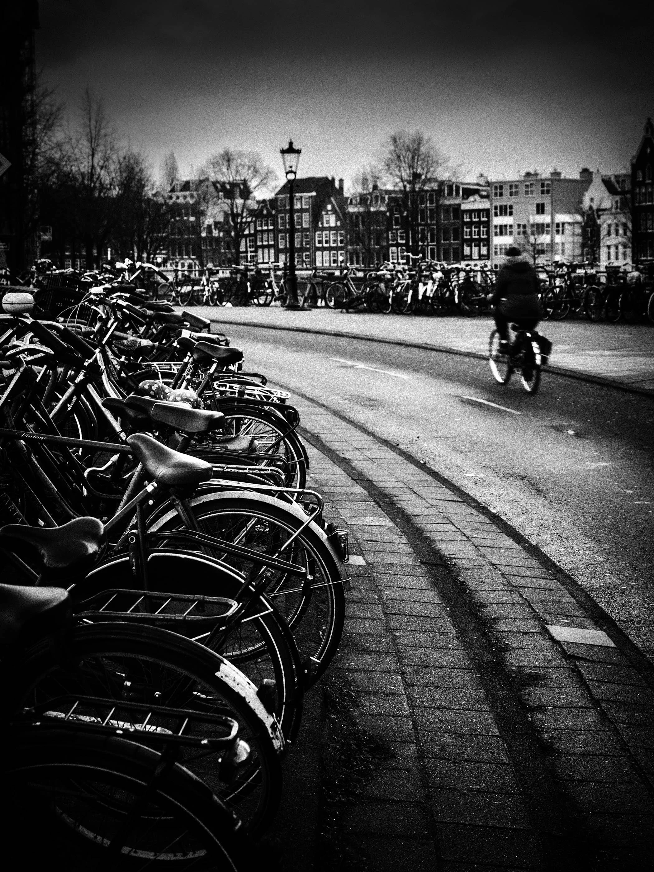 Untitled 4, Amsterdam, Netherlands, 2019.jpg
