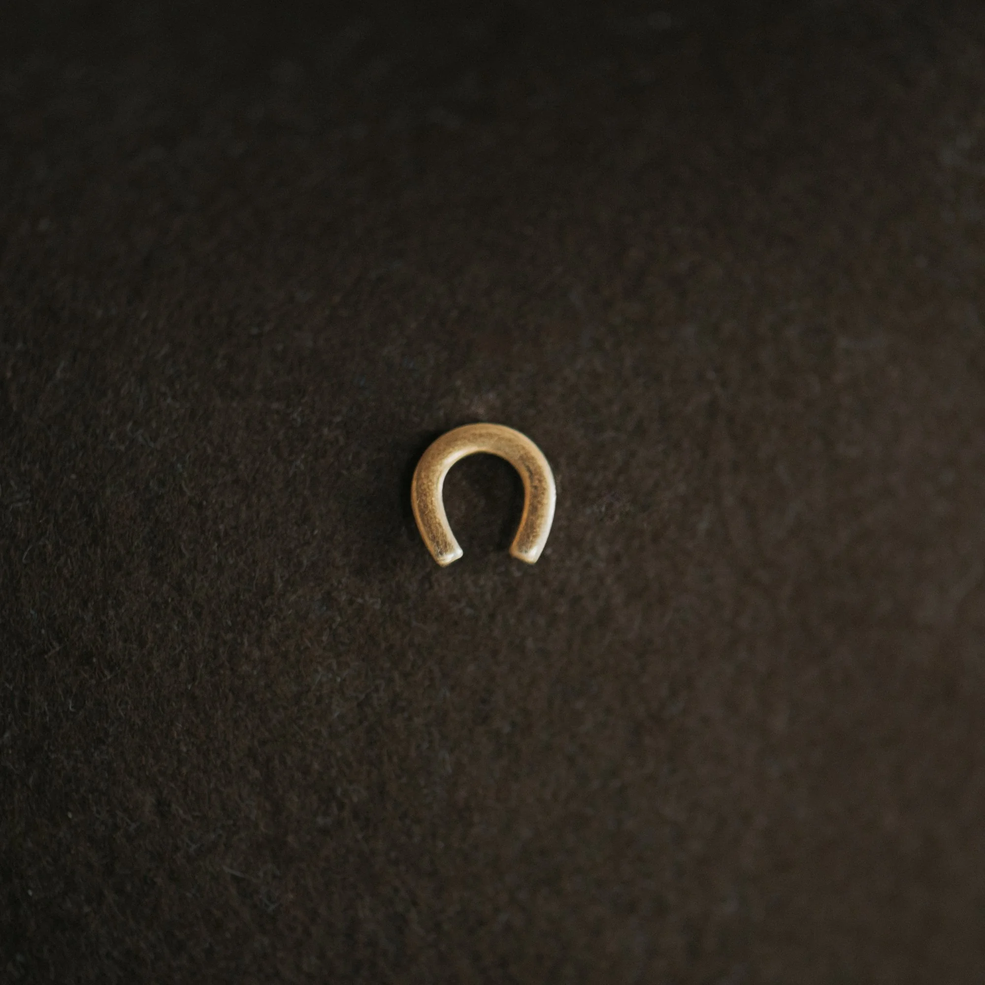 COMMONFORM_Gold Hat Pin-237.jpg