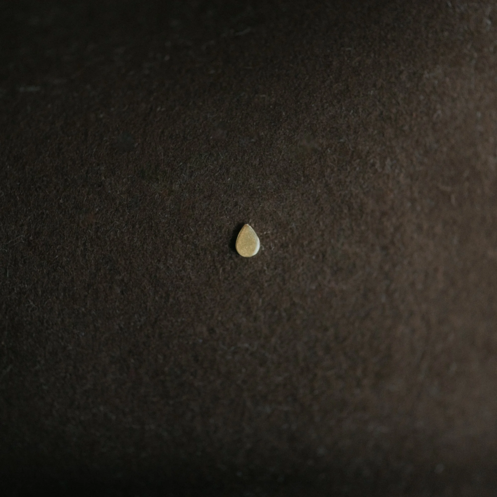 COMMONFORM_Gold Hat Pin-213.jpg
