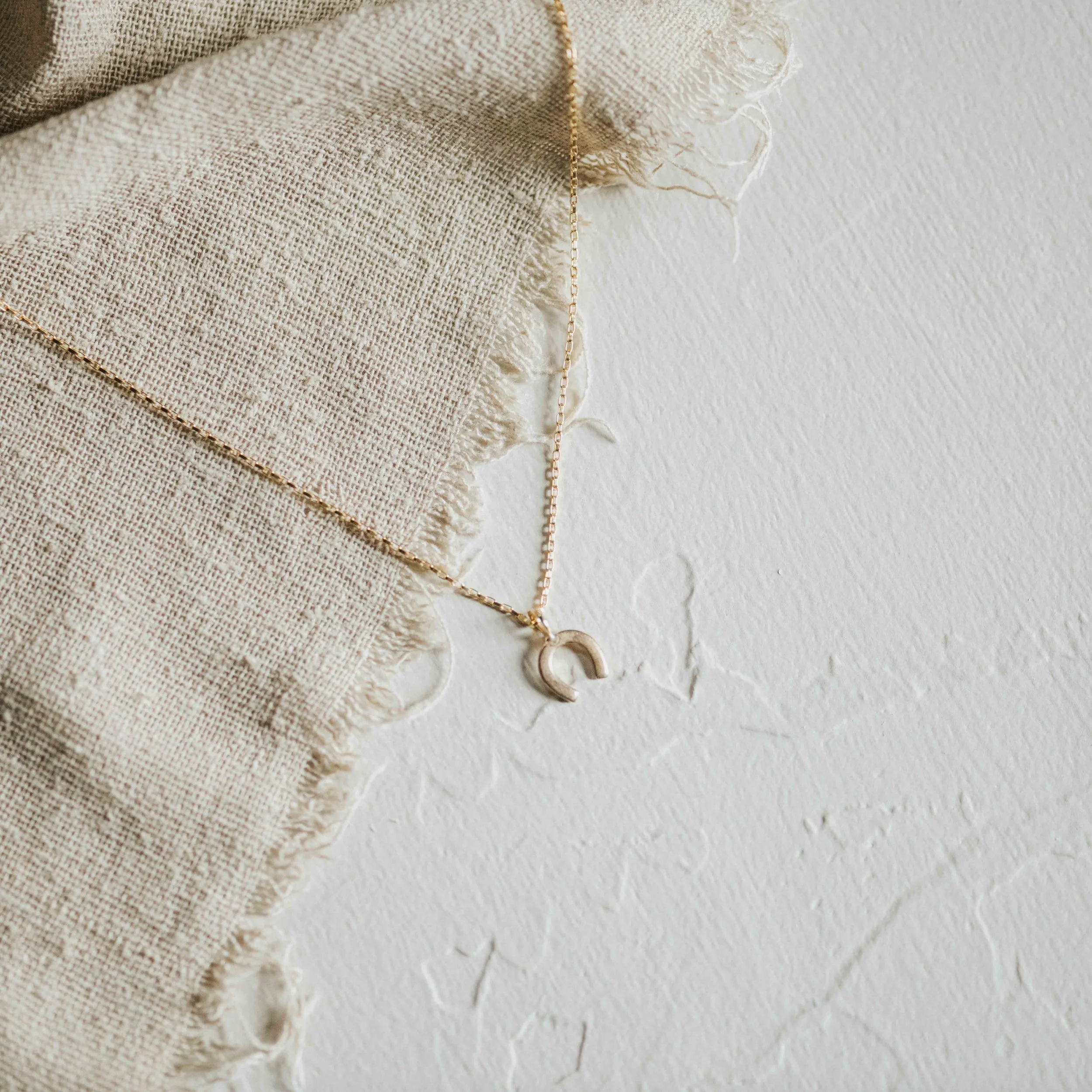 COMMONFORM_Gold Horseshoe Lucky Necklace-58.jpg