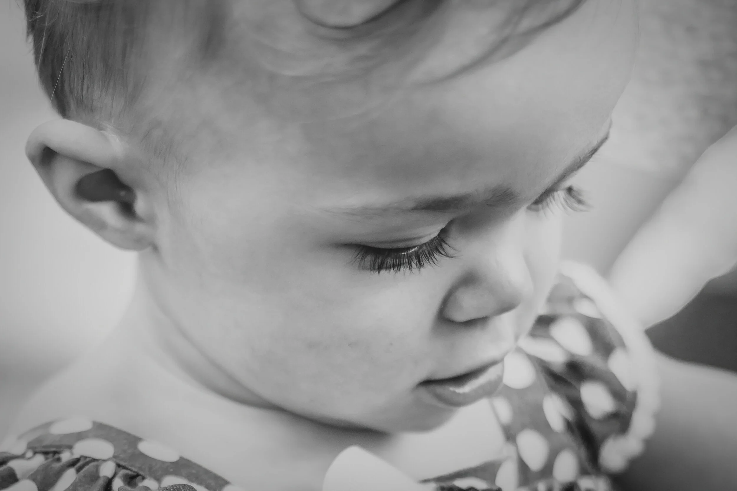 IMG_2030-Edit.jpg
