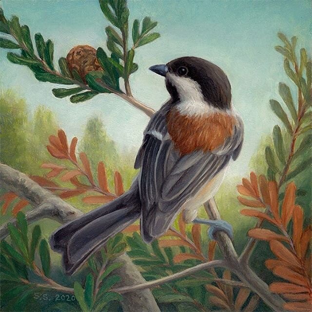 Pleased to announce that my painting, &quot;Exposed (Chestnut-backed Chickadee)&quot;, was awarded the First Place prize in the current show, &quot;Left Coast&quot;, @marinmoca juried by gallerist @ken_harman_hashimoto The show features the work of 4