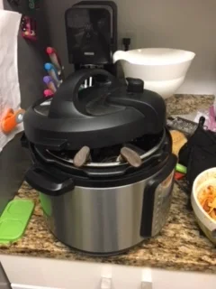 Instapot-Murderer of my Soul