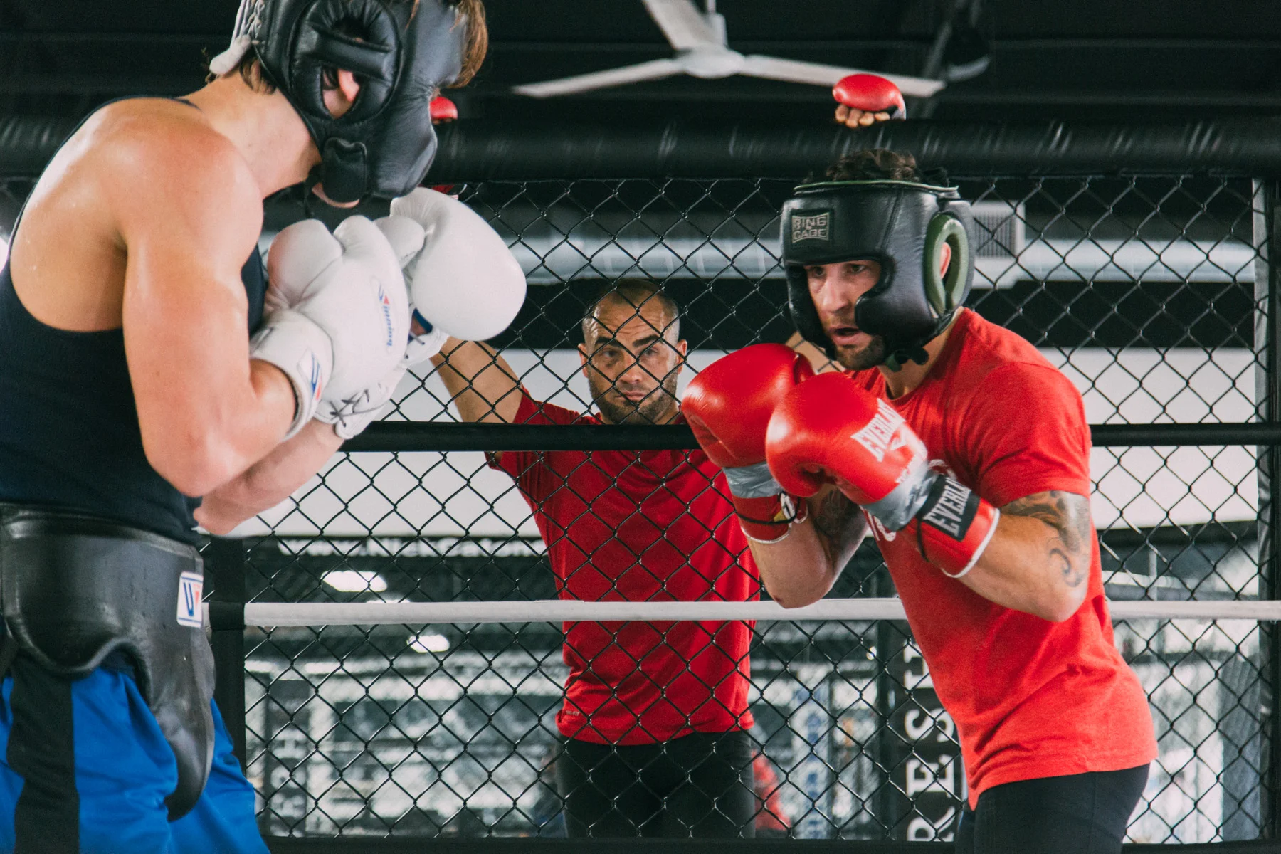 UFC
