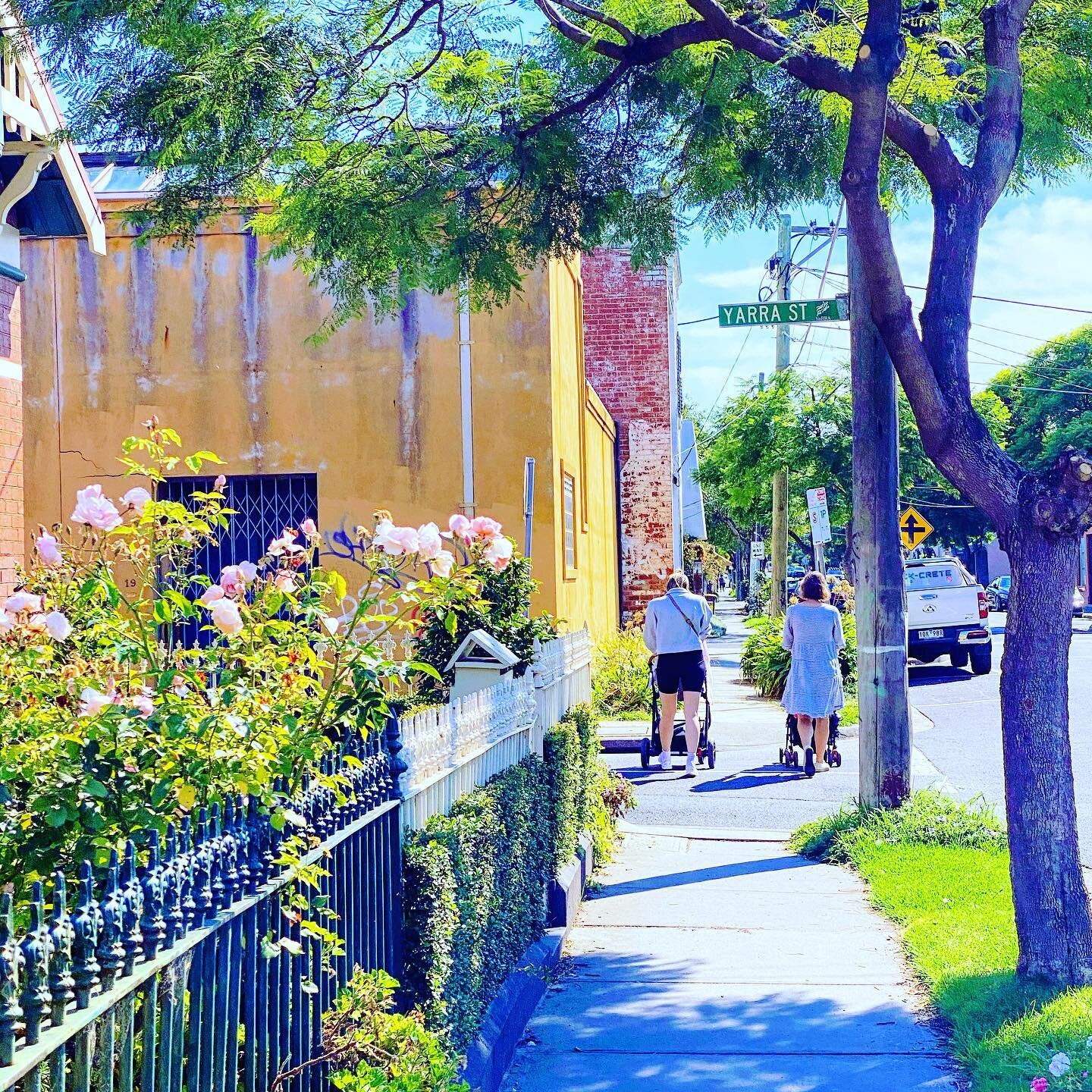 The perfect streetscape........built to boundary fencing, no 6m building setbacks, narrow footpath, overhead powerlines, verge planting, power poles, street parking, curb side bins.